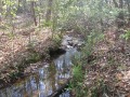 Shingle Hollow stream